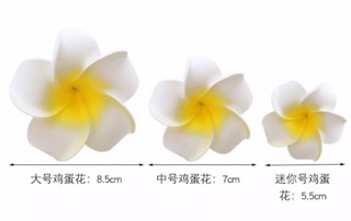 Kẹp Tóc Hoa (Order)