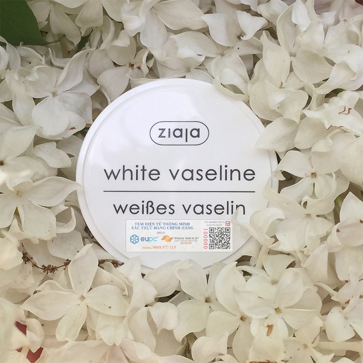 Sáp Vaseline Dưỡng Tái Tạo Da - Ziaja White Vaseline 30ml