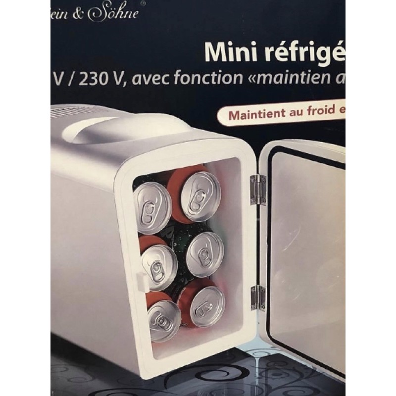 Tủ lạnh mini bảo quản mỹ phẩm, để ô tô Roenstein của Đức