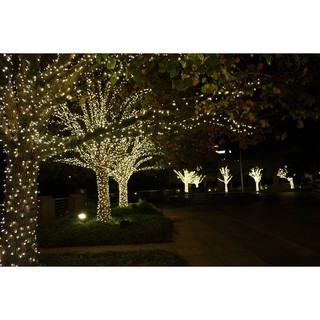 Đèn Led Cuốn Cây 20m