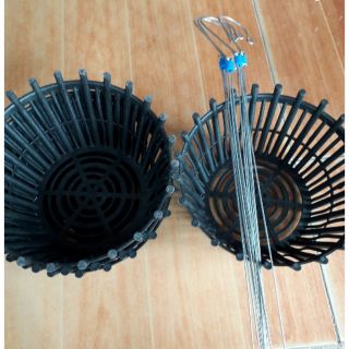 [RẺ]  chậu trồng lan kèm quai  phi 20cm có lan phụ ĐẸP, chất.