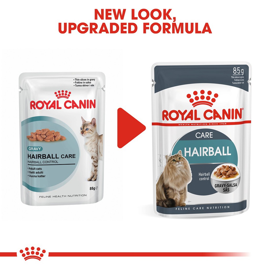 Pate Royal Canin Hairball Care trị búi lông cho mèo 85g