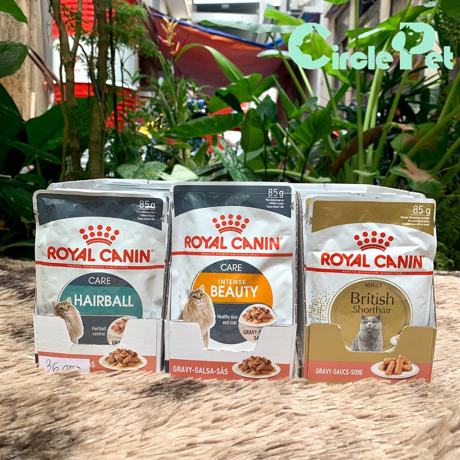 Pate Mèo Royal Canin Nhiều Vị Thơm Ngon Kích Thích Ăn Uống 85g - Circle Pet
