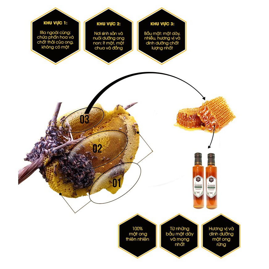 Combo 2 chai mật ong Điện Biên (380gr/chai) | BigBuy360 - bigbuy360.vn
