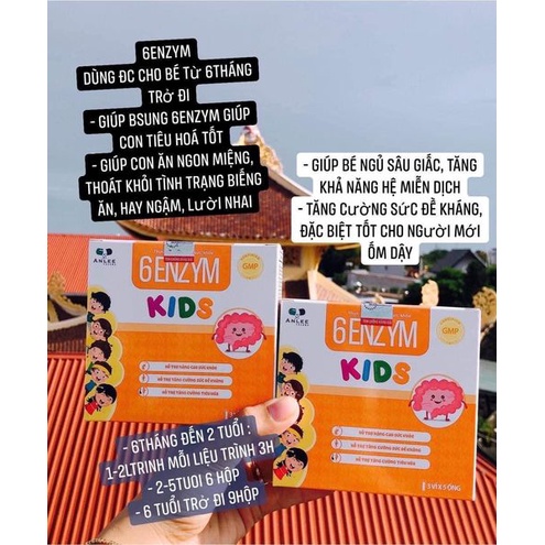 6ENZYM KISD