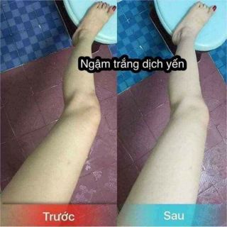NGẬM TRẮNG DỊCH YẾN TƯƠI