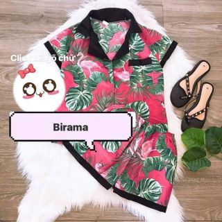 Combo 4 bộ pizama