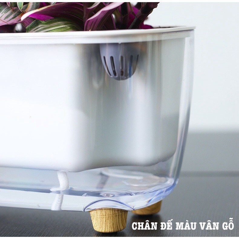 Chậu cây để bàn Oliz-Gerta 211. Chậu trồng cây thông minh tự dưỡng