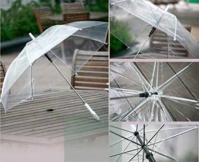 Ô TRONG SUỐT HÀN QUỐC CHỤP ẢNH SỐNG ẢO ĐI MƯA SIÊU ĐẸP
