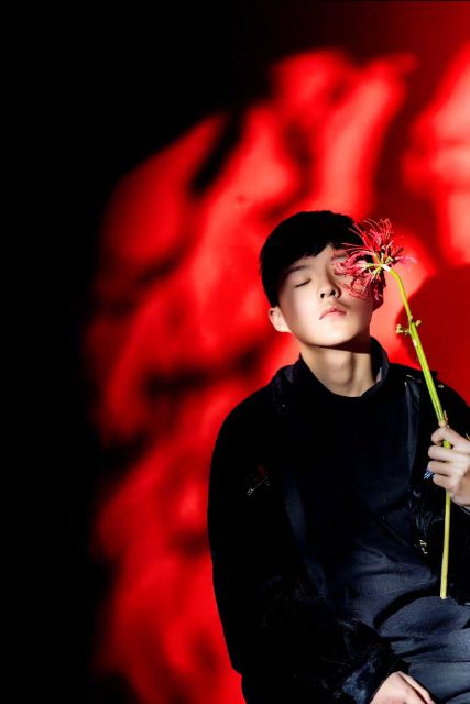 Hoa lụa - Bỉ ngạn hoa