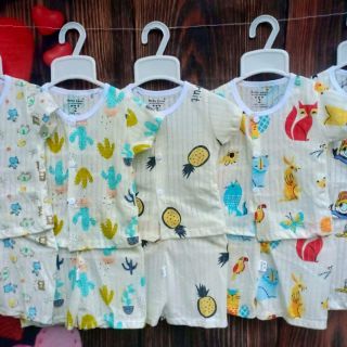 COMBO 25B COTTON GIẤY