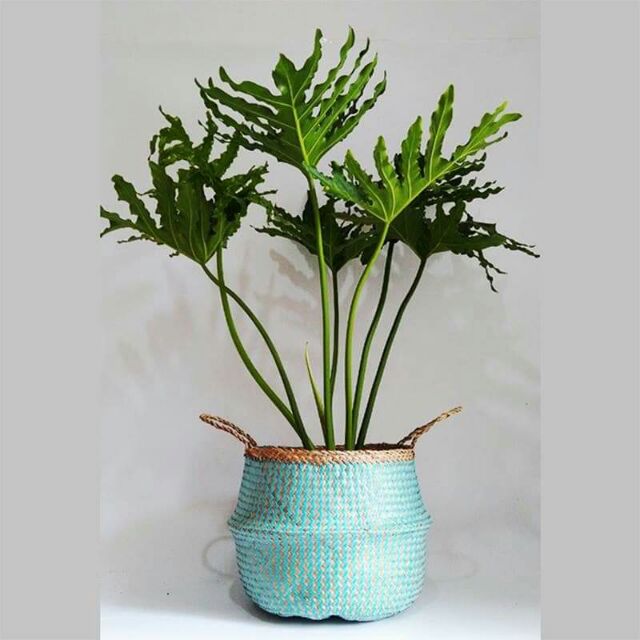 Giỏ cói sơn màu phi 35