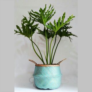 Giỏ cói sơn màu phi 35