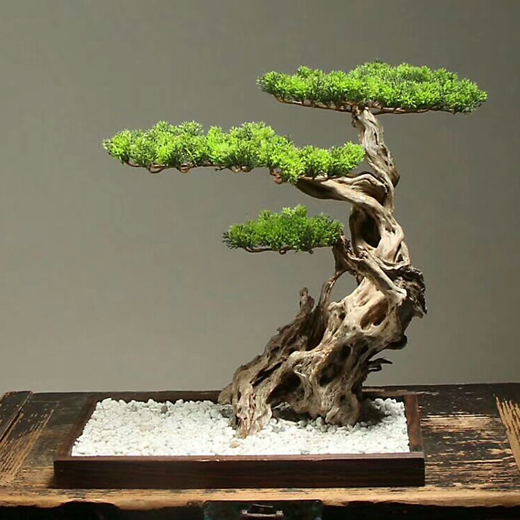 Cây lá thông nhân tạo bằng nhựa dùng trang trí để bàn