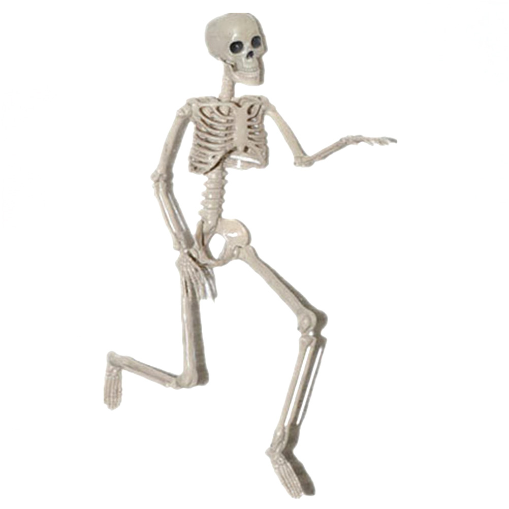 YYlingx hình bộ xương người 40cm dùng làm đạo cụ chụp ảnh tiệc halloween đa năng