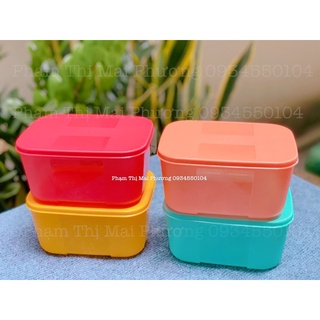 Hộp tupperware freezermate rainbow 700ml. bộ hộp trữ đông tupperware trung chính hãng