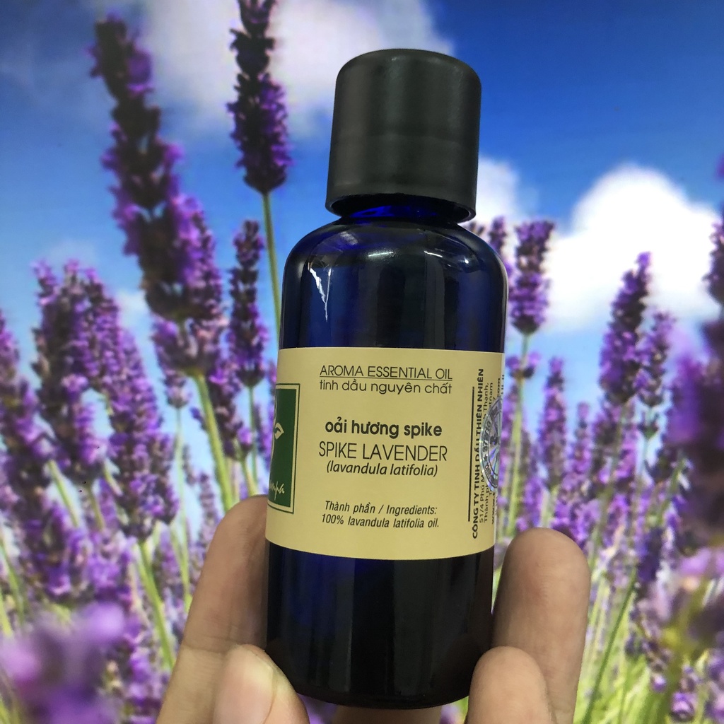Tinh dầu Oải hương Lachampa  -Lavender Spike Pháp - hương thơm ấm ngọt, giúp ngủ ngon