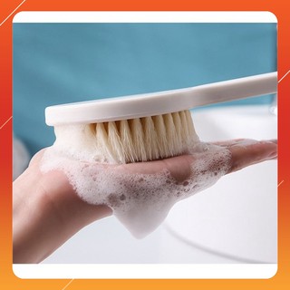 Cây Bàn Chải Cọ Lưng Siêu Mềm