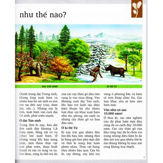 Khám Phá Rừng