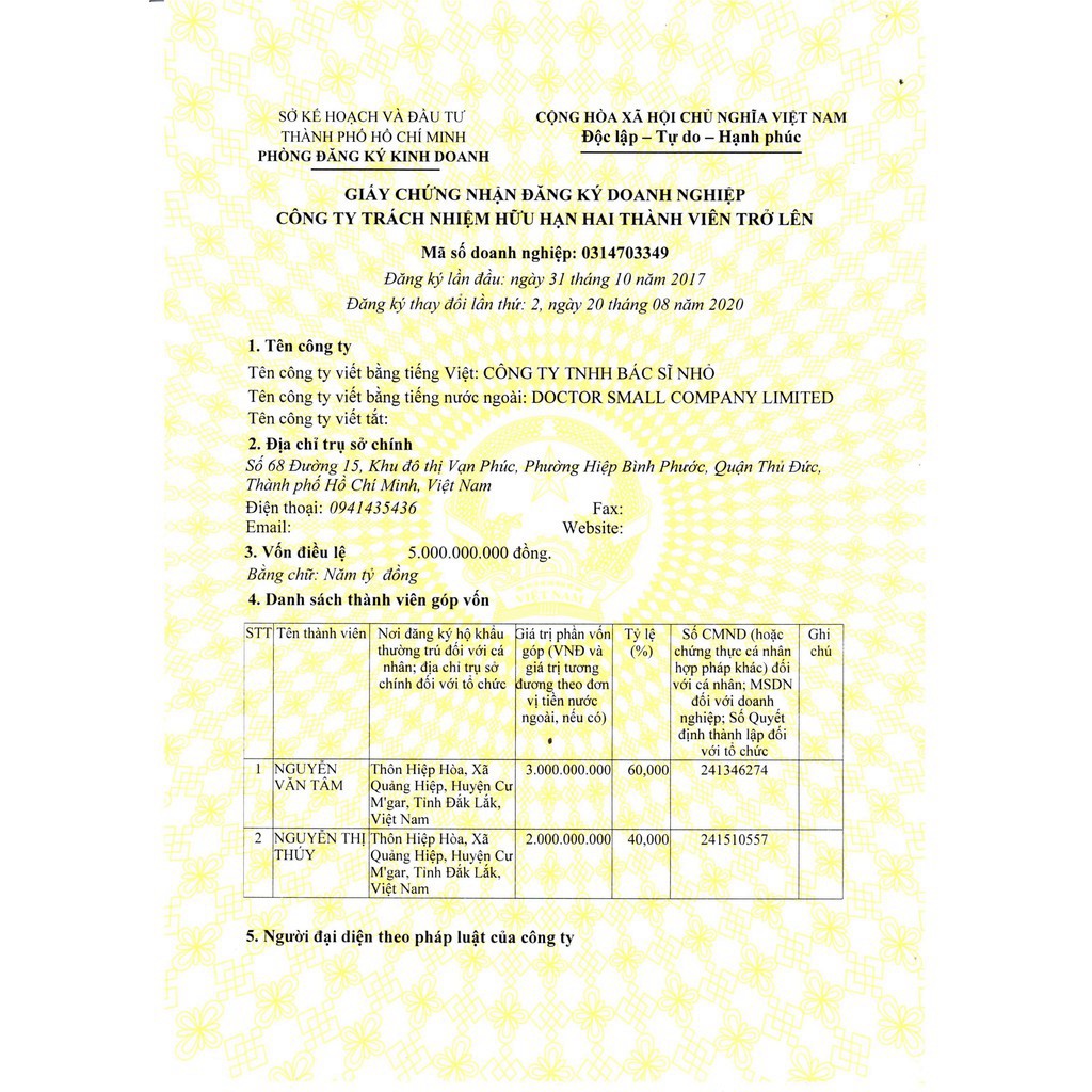 Máy Massage Mặt, Máy Massage Ion Cầm Tay Sử Dụng Kết Hợp Mask, Serum, Sữa Rửa Mặt