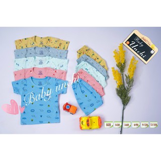 Bộ petit màu cúc vai unchi