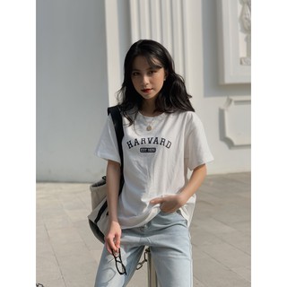 Áo pull harvard ngắn tay ap454 1994closet