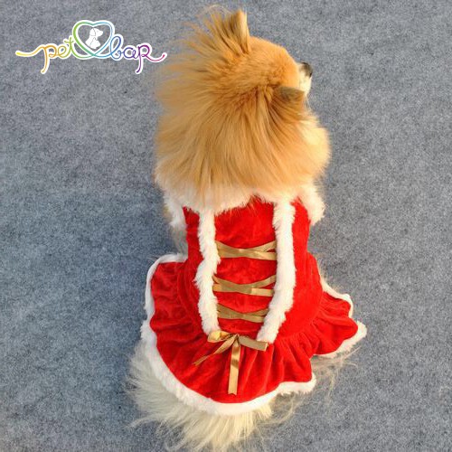 Váy đông cho chó mèo sang chảnh – váy màu đỏ nổi bật cho thú cưng