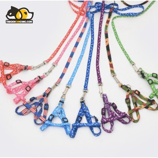 Dây dắt chó mèo đi dạo kèm yếm đủ màu sắc giá rẻ (1m2) - THEGIOICUNCUNG.COM