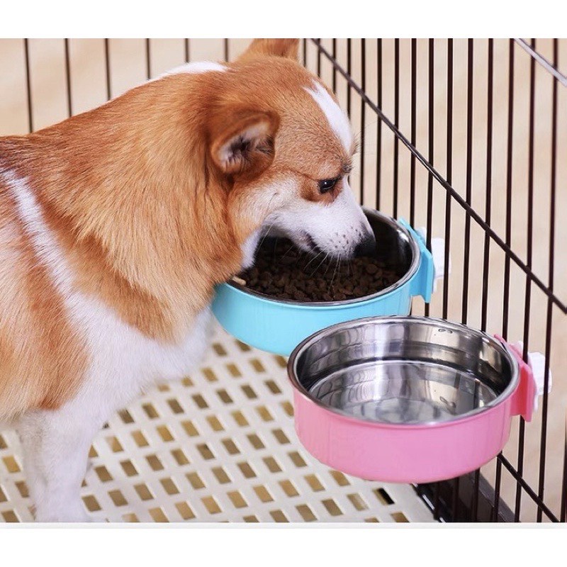 Bộ bát và bình nước treo gắn chuồng chó mèo tự động cao cấp