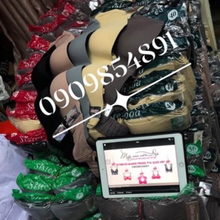 Áo cúp ngực bigsize 36- 38-40-42