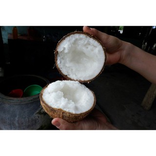 Dừa sáp Trà Vinh