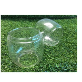 Bóng đèn dầu, đèn bão