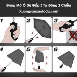 Dù bấm tự động xuất nhật