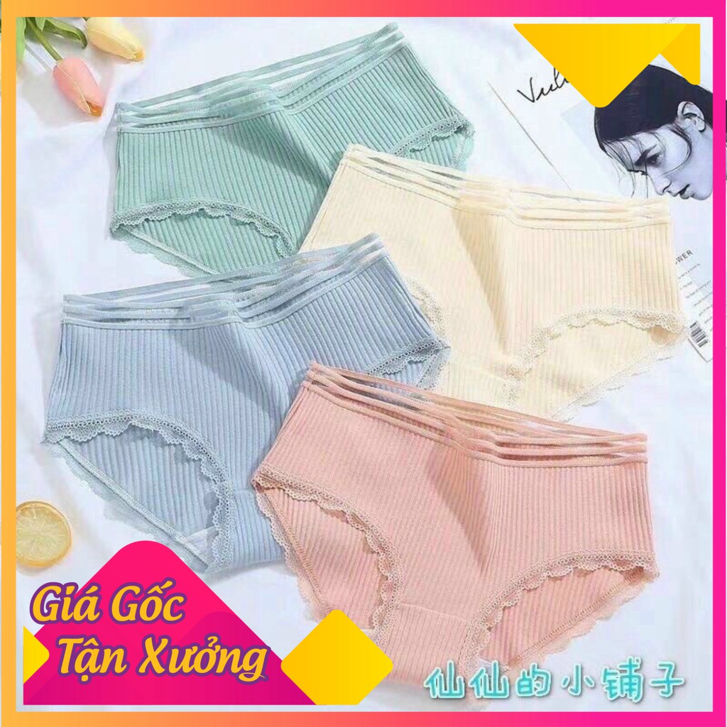 GIÁ SỈ🌸 Đồ Lót Nữ ❤️FREESHIP❤️Quần Lót Nữ Cotton Gân Tăm Cạp Lưới Phối Viền Ren Điệu Đà