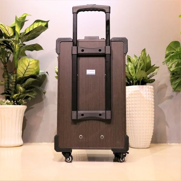 Loa kéo RONAMAX MT 12 - Loa karaoke di động - loa kẹo kéo tặng kèm 2 micro không dây