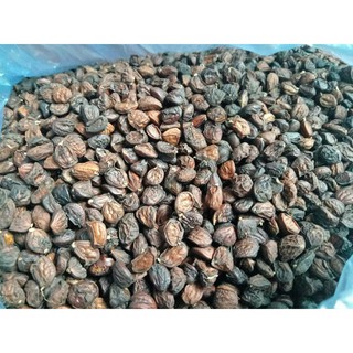 Hạt Dổi Rừng Hòa Bình 1 hạt dùng thử