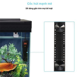Máy sưởi bể cá kĩ thuật số