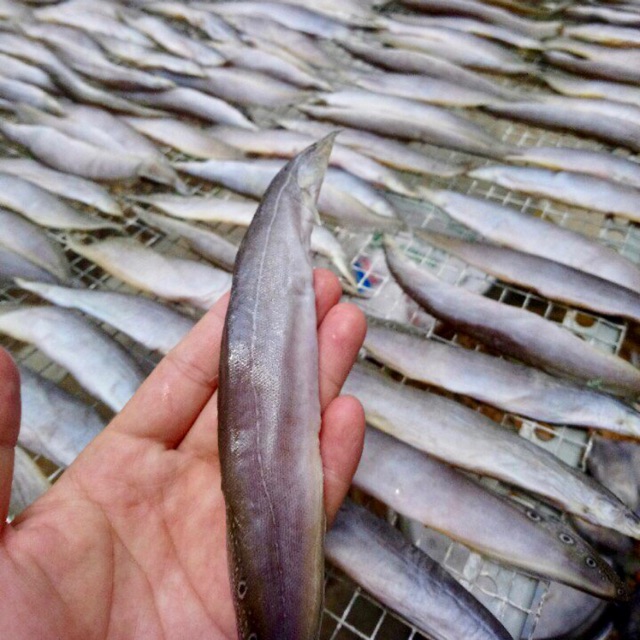 Chạch đồng 1 nắng 1kg