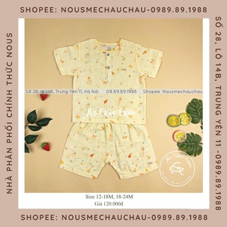 Bộ cộc xô vàng gấu bóng bay nous