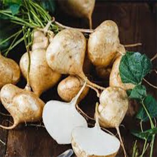 hạt giống củ đậu 20 hạt