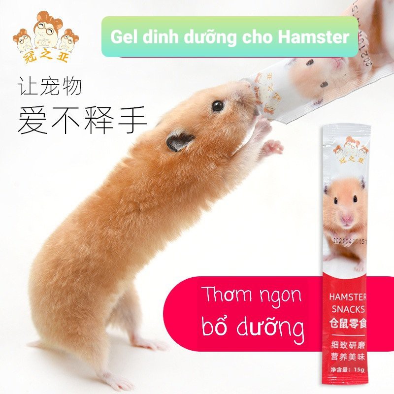 Gel dinh dưỡng cho Hamster (túi 15gr) Gấu vàng