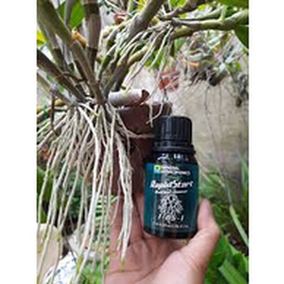 Kích rễ rapid start chính hãng nhập khẩu Mỹ hũ 30ml