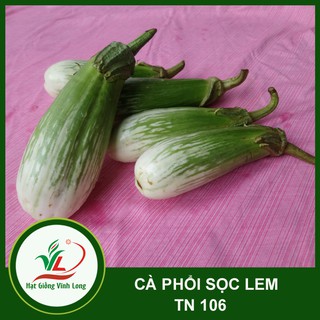 Hạt giống Cà phổi sọc lem TN 106