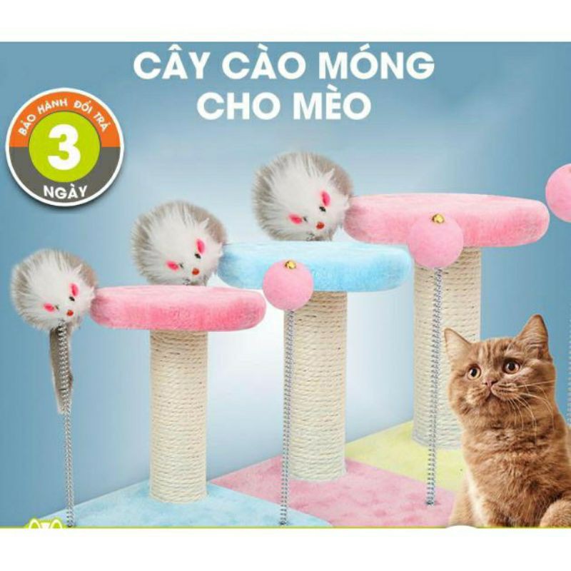 Trụ cào móng cho mèo - 2 mặt tròn