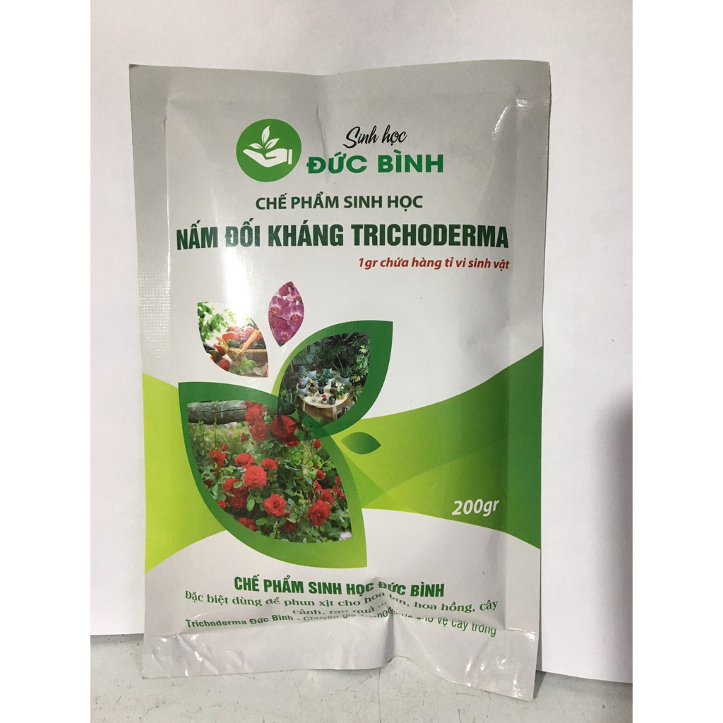 Combo đậu tương trứng chuối humic và trichoderma siêu phẩm tưới cho hoa hồng