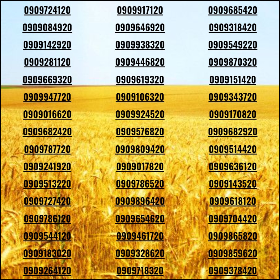 Sim đẹp Số tiến