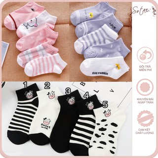 Tất cổ thấp cho nữ nhiều mẫu, tất nữ cổ thấp dễ thương set 5 đôi
