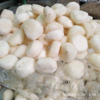 [SHIP TRONG NGÀY] 100Gr CỦ NĂNG (Mã thầy) LÀM THẠCH TRÀ SỮA