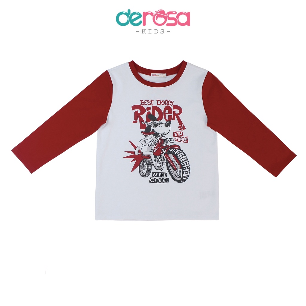 Áo thu đông dài tay chất liệu cotton cho bé trai (2 - 6 tuổi) DEROSA KIDS AWKD134A