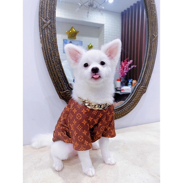 Áo thun poly có tay yudog in họa tiết thời trang cho thú cưng
